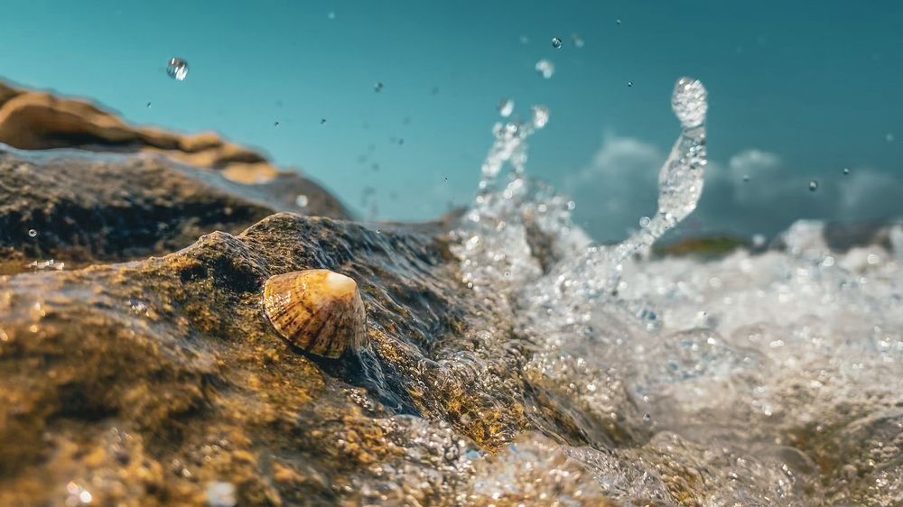 Photograph by Антон Дроздов