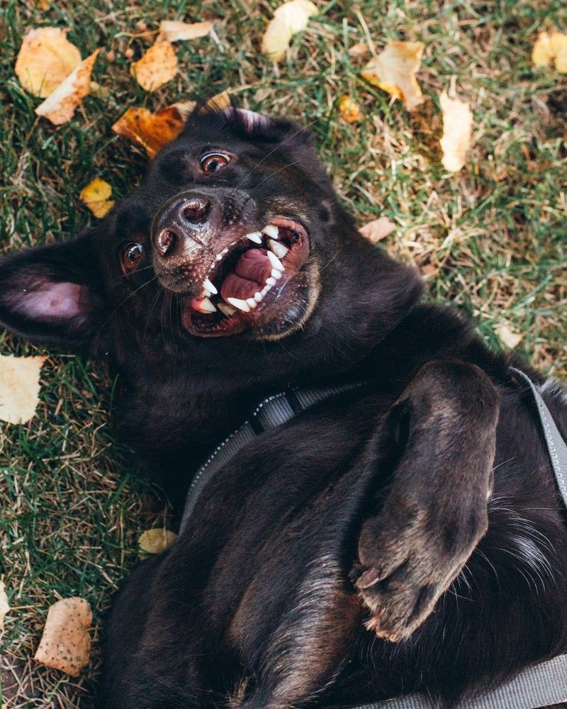 Photograph by Natasha Stugireva