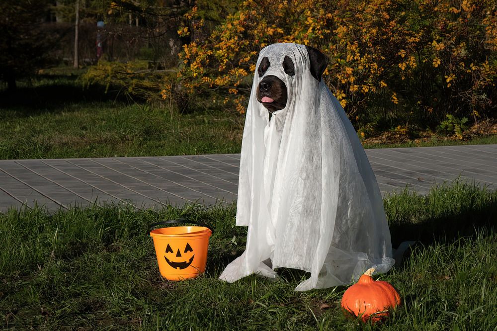 Photograph by Марина Виноградова