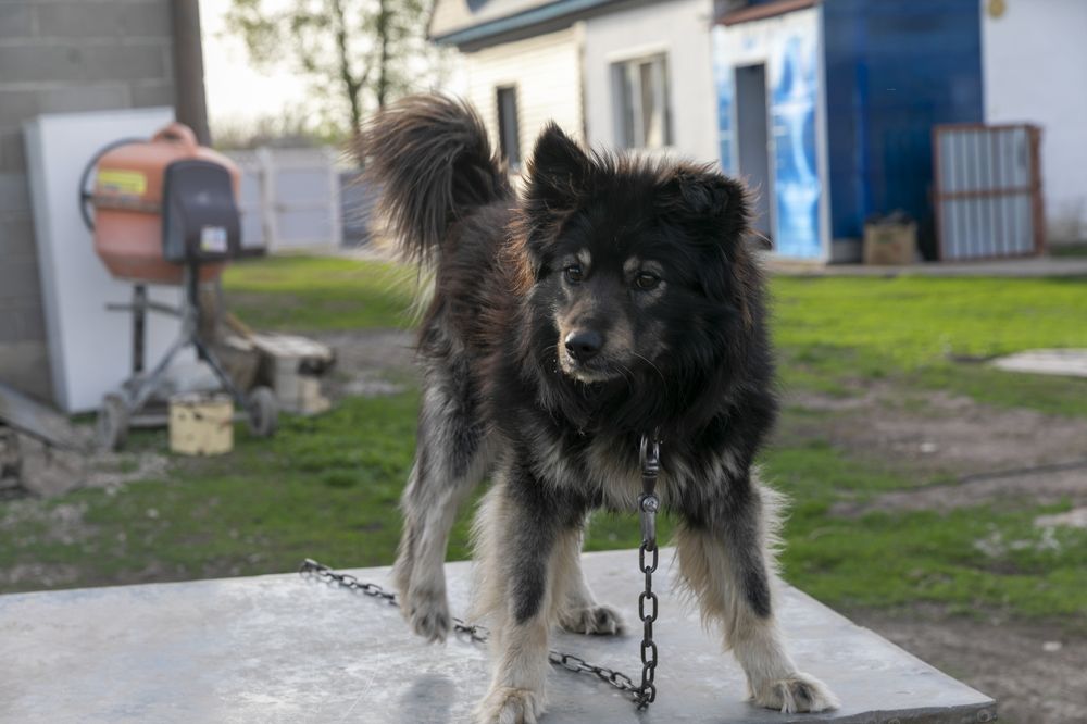 Photograph by Регина Егорова