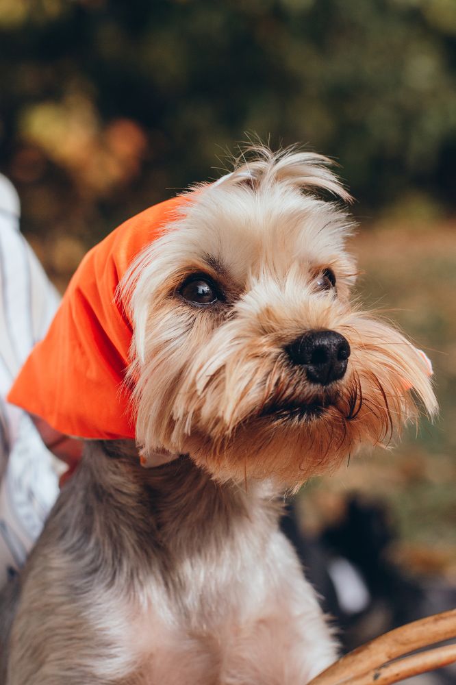 Photograph by Natasha Stugireva