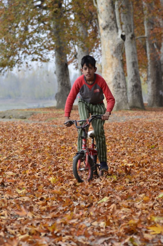 Фотография автора Afzal Khan