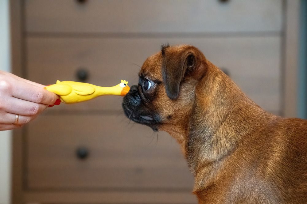 Photograph by Марина Виноградова