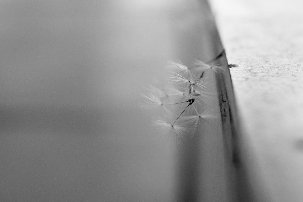 Photograph by Алексей Арестов