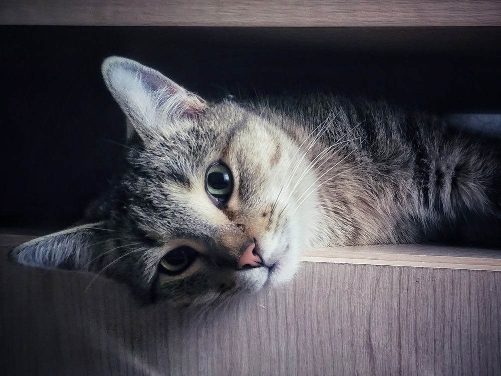 Photograph by Светлана Гаранина