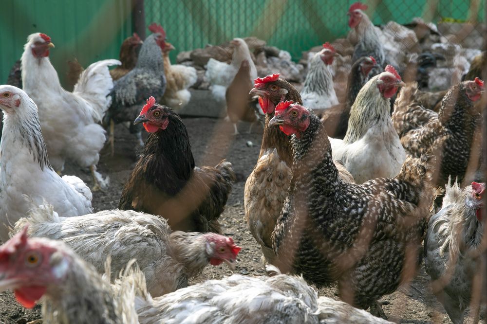 Photograph by Регина Егорова