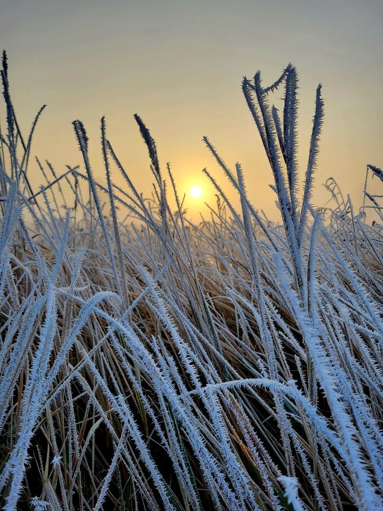 Photograph by Pavel Vorobev