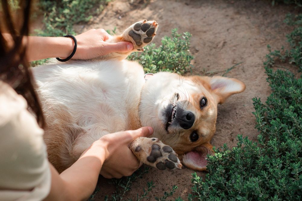 Photograph by Natasha Stugireva