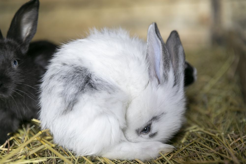 Photograph by Регина Егорова