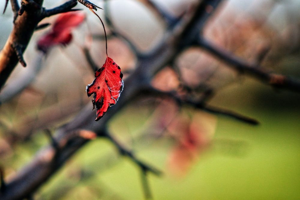 Photograph by Ольга Золотарева