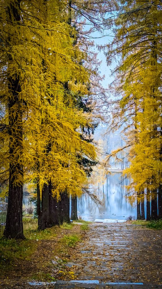 Photograph by Lenar Valeev