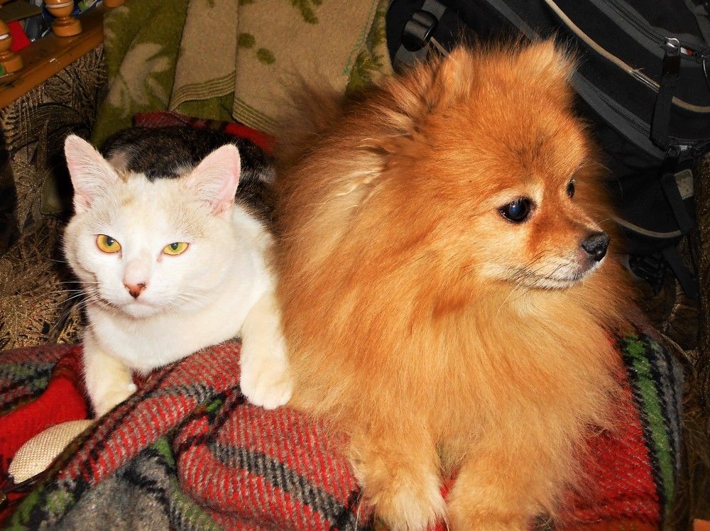 Photograph by Галина Глазкова