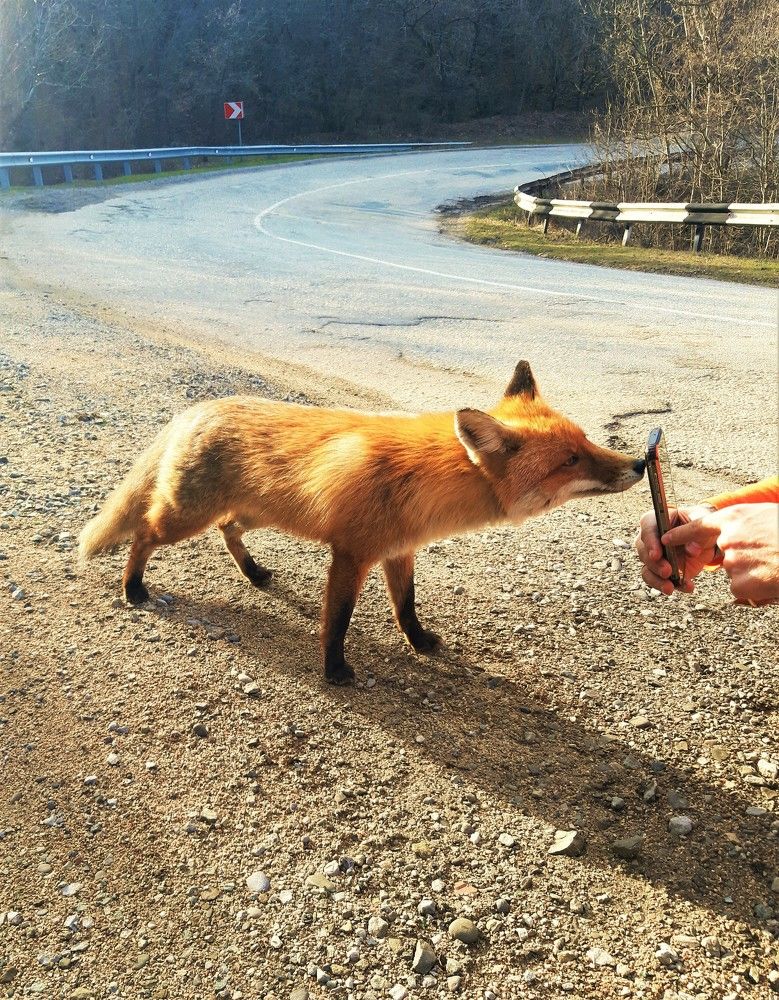 Покажи мою фотографию!
