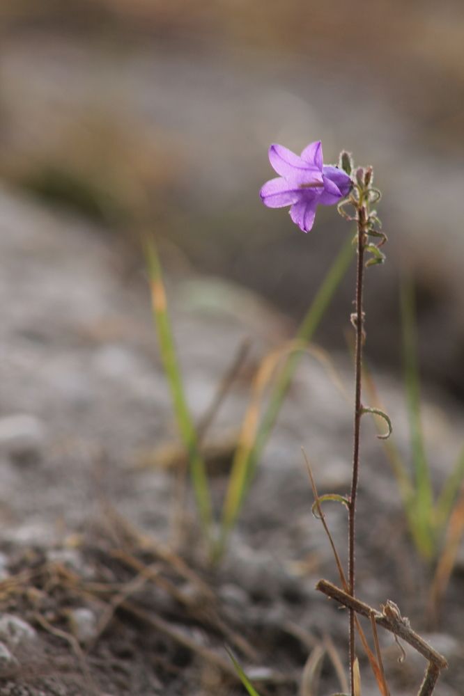 Photograph by Ольга Золотарева