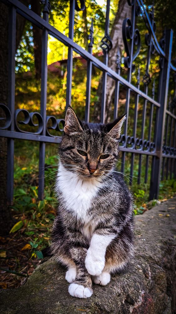 Photograph by Lenar Valeev