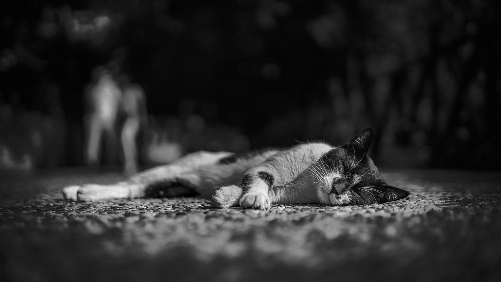 Photograph by Антон Дроздов