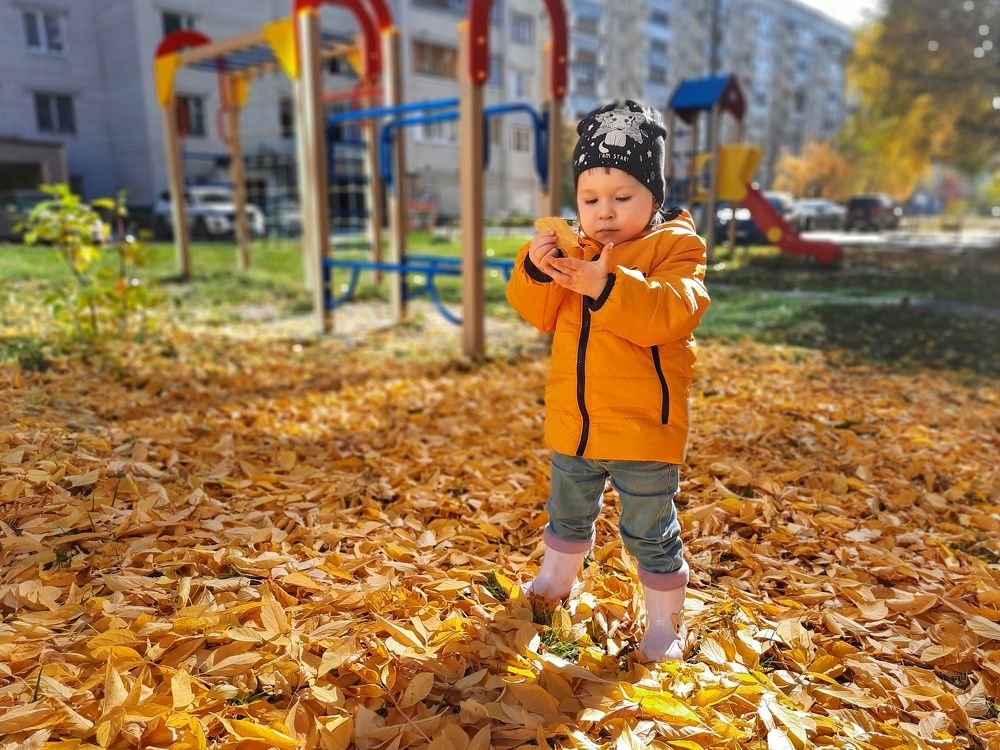 Осеннее богатство