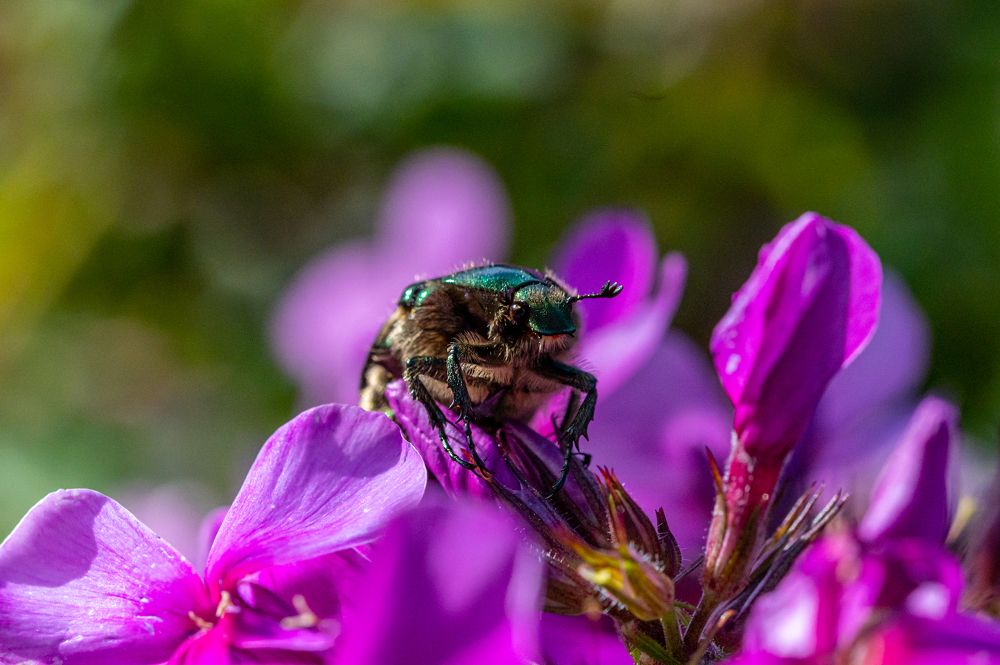 Photograph by Денис Гуляев