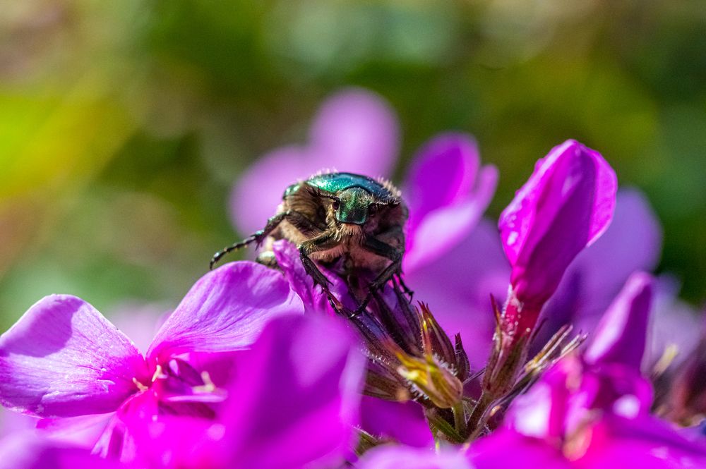 Photograph by Денис Гуляев