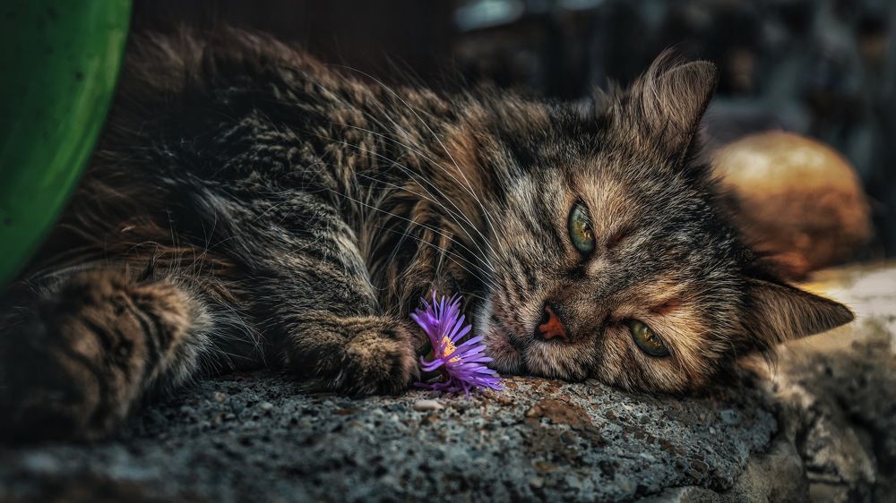 Photograph by Антон Дроздов