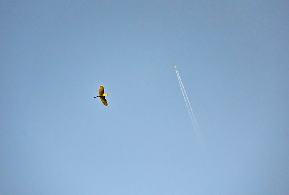 Photograph by Tanzilya Gabidullina