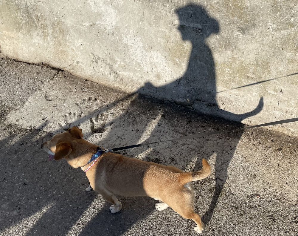 Photograph by Eastpearl