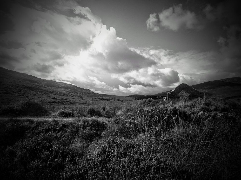 Photograph by georgina greene