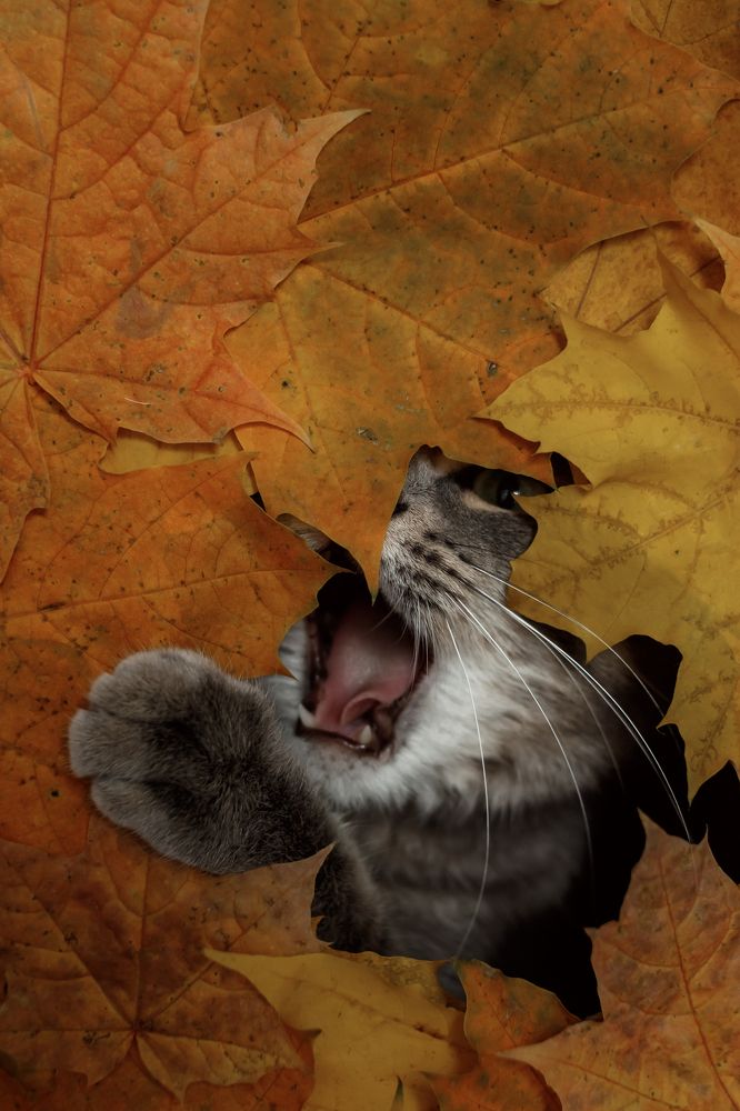 Photograph by Ольга Осинина