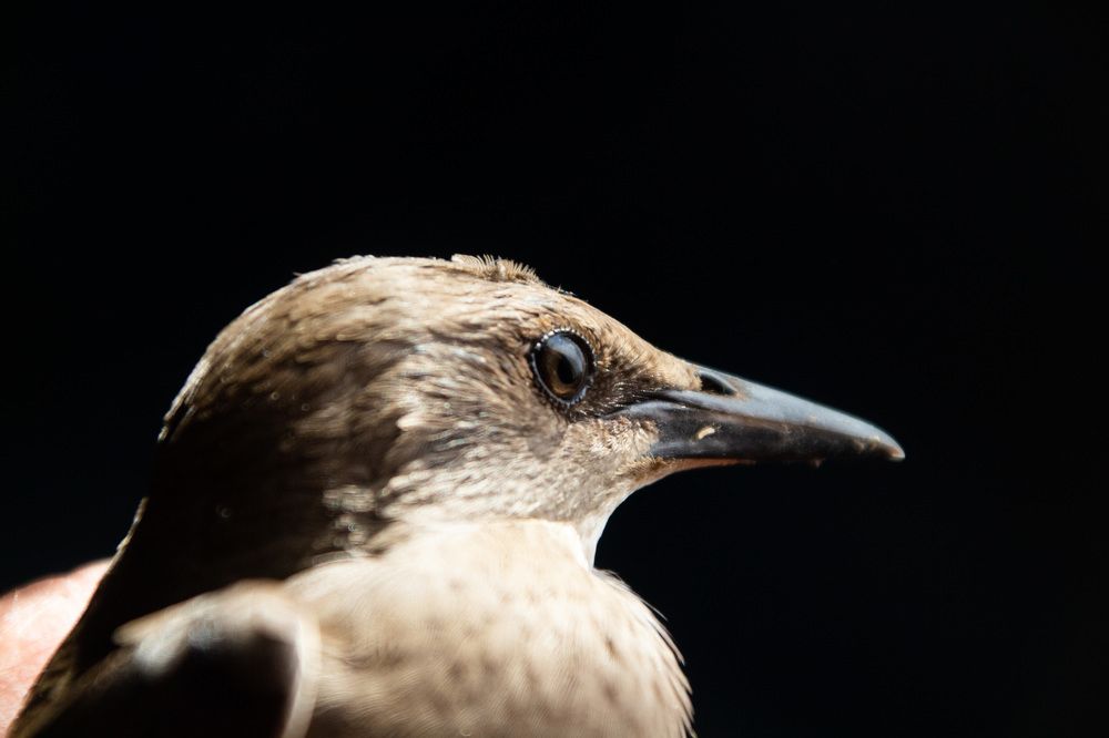 Photograph by Алексей Борисов