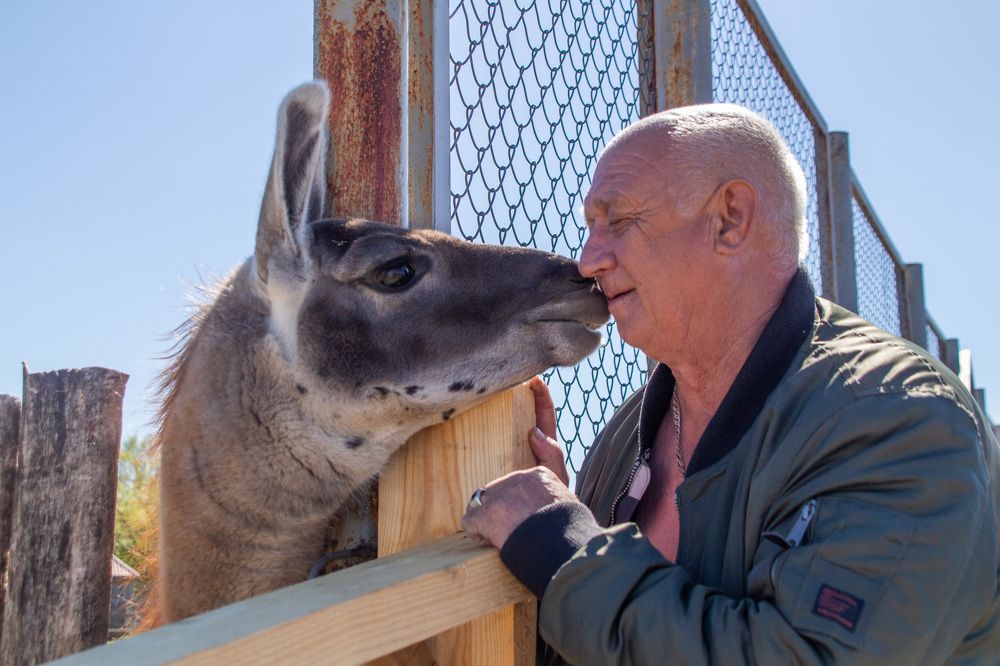 Photograph by Алексей Борисов