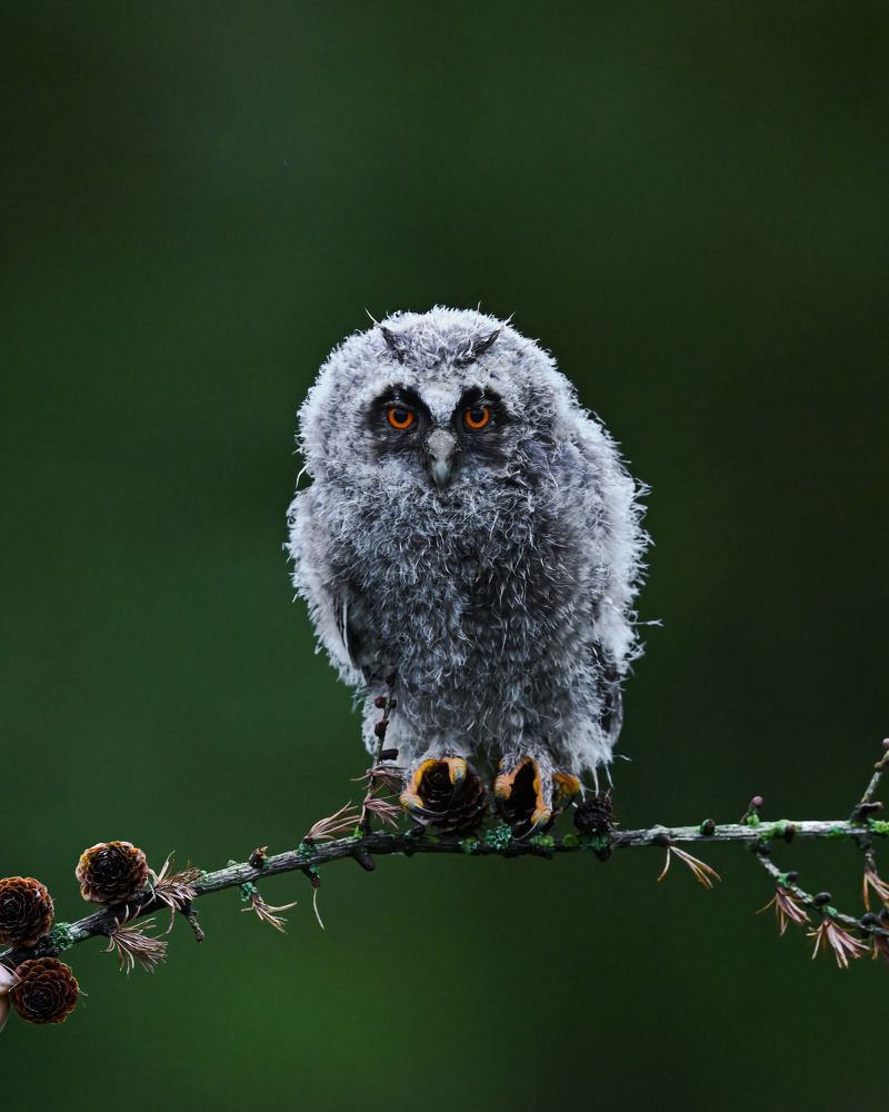 Photograph by Logeswaranathan Mohanaraj