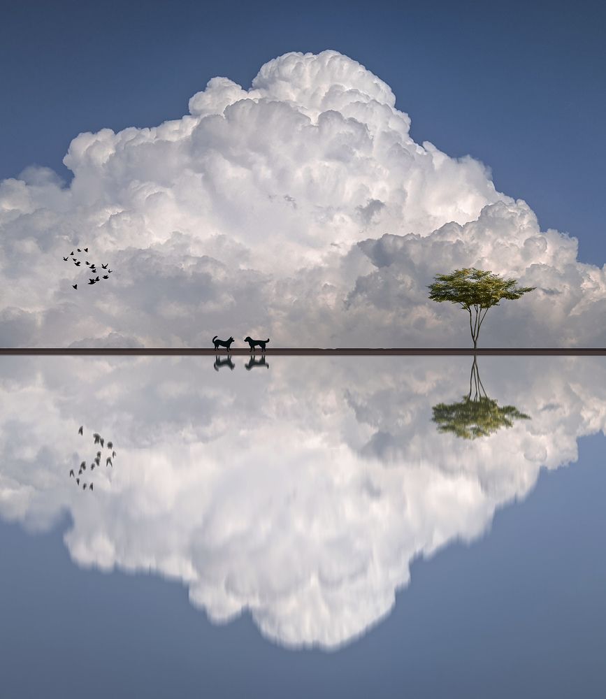 Photograph by Mosbah Hammad