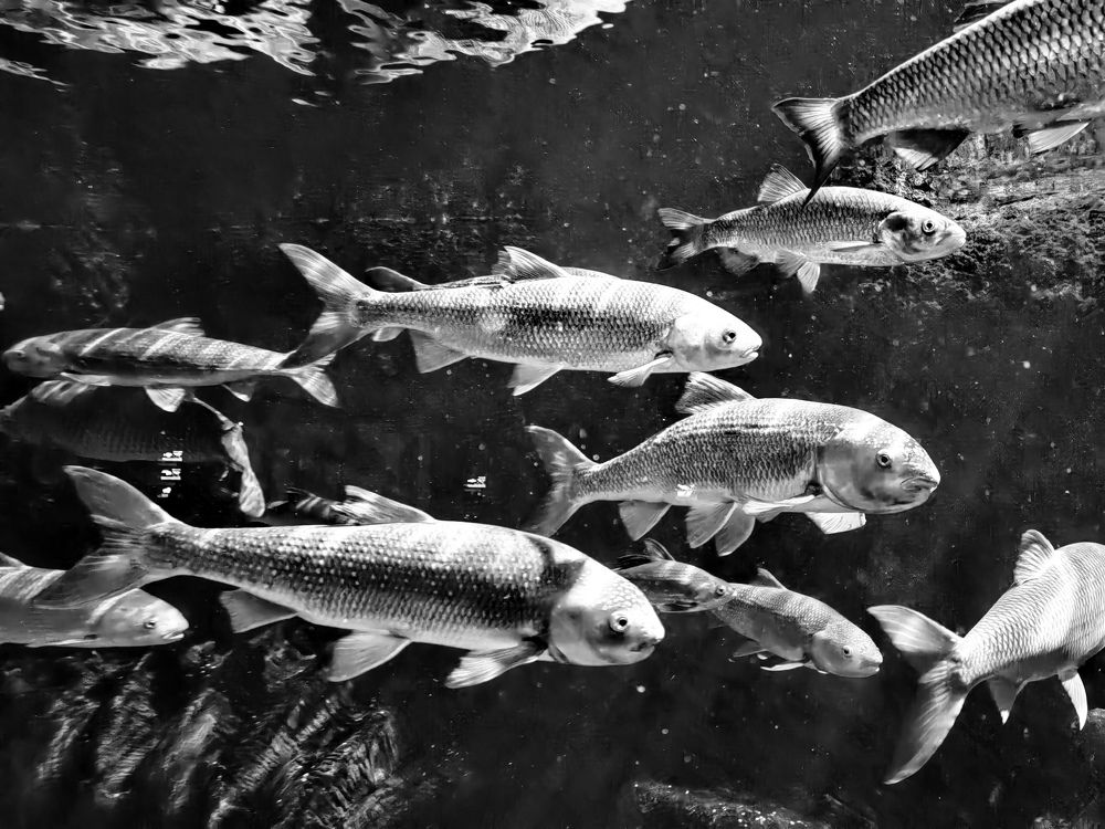 Photograph by Natalya Guseva