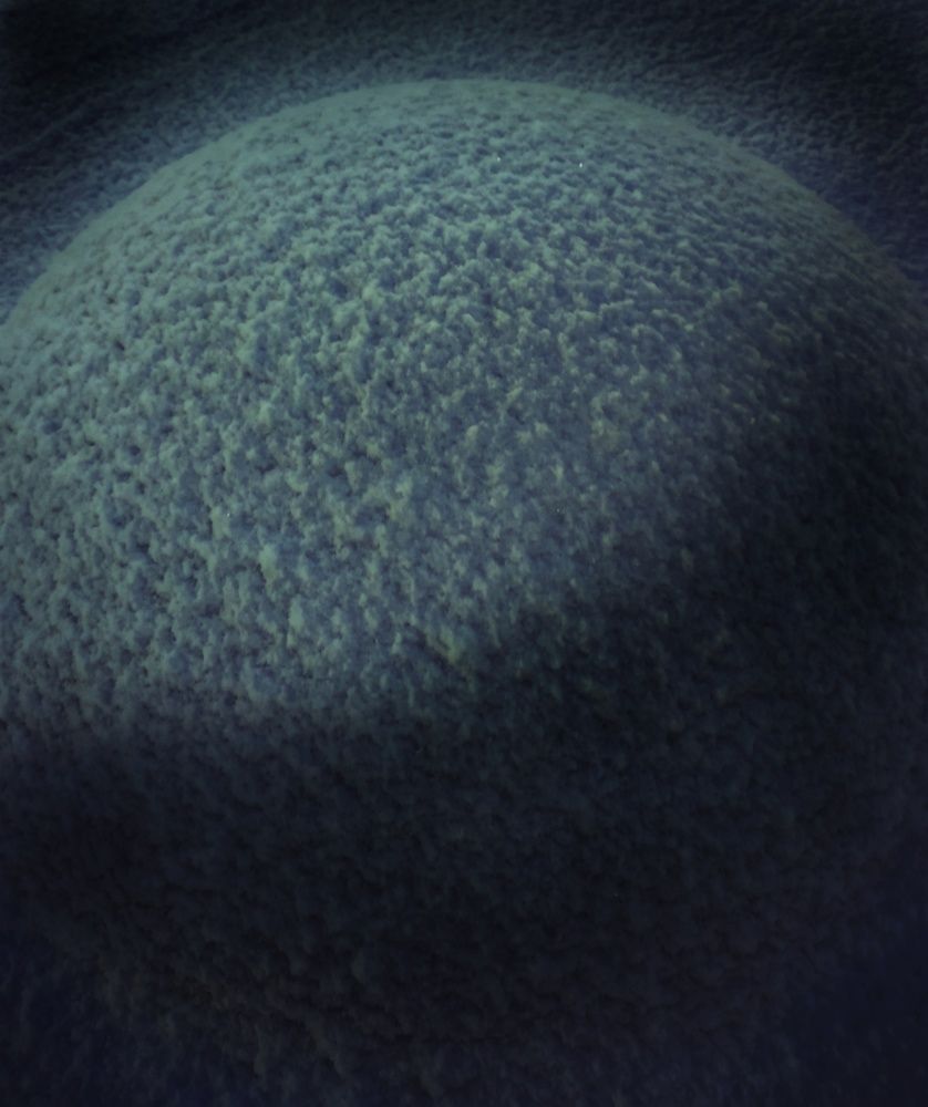 Photograph by Людмила М