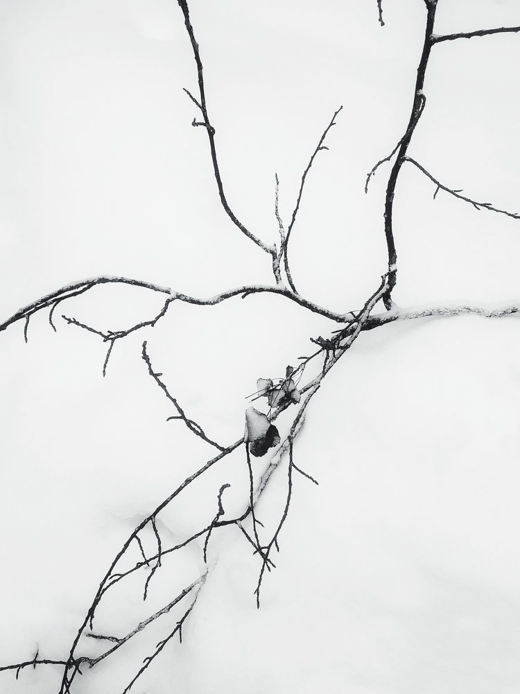 Photograph by Людмила М