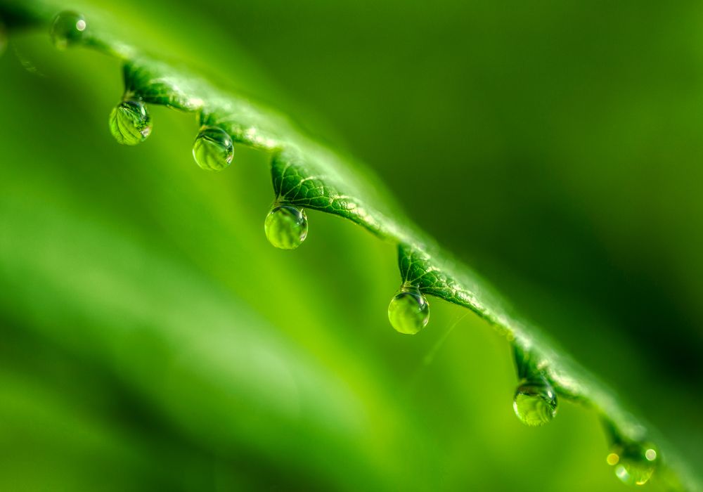 Photograph by Aleš Maučec