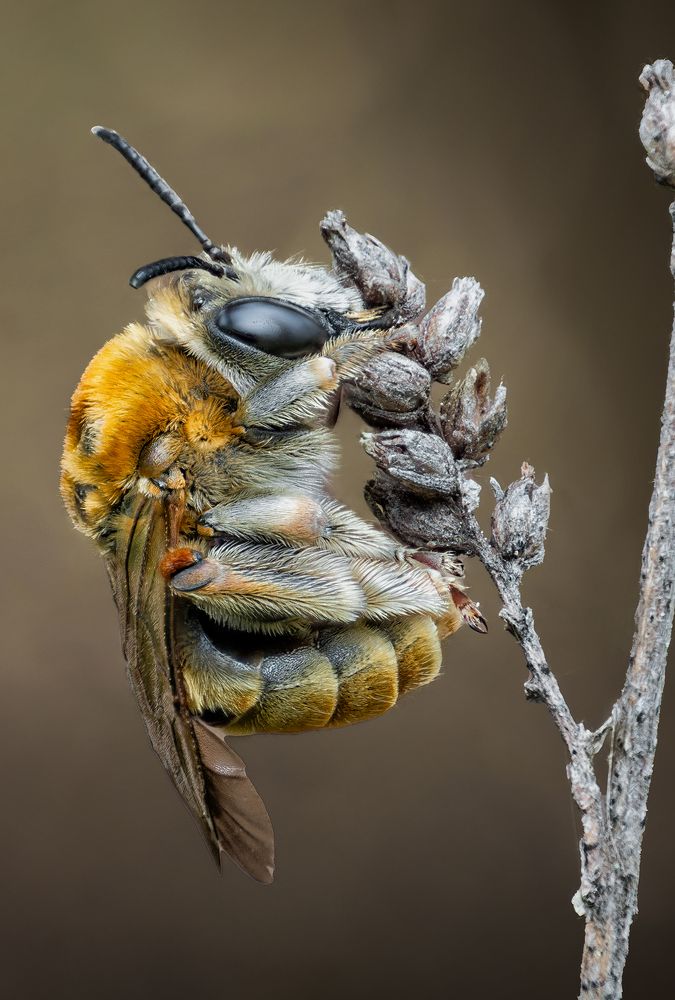 Photograph by Андрей Жила