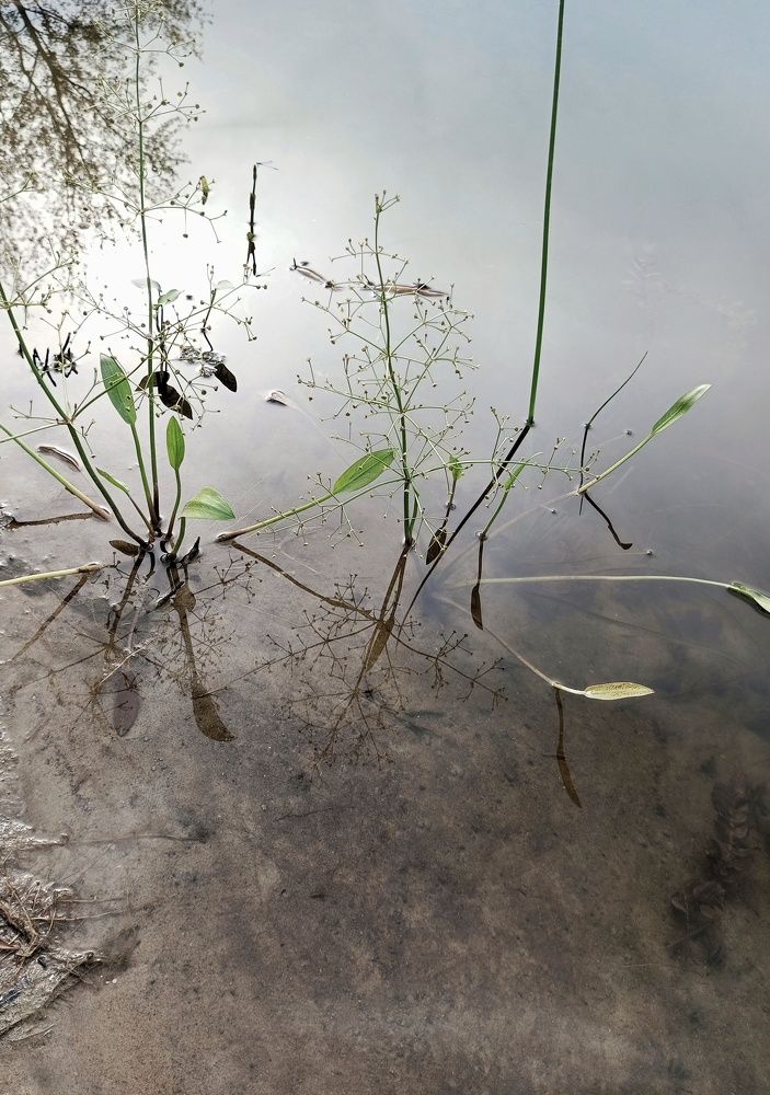 Photograph by Людмила М