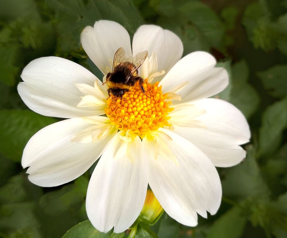 Photograph by Светлана Семенова