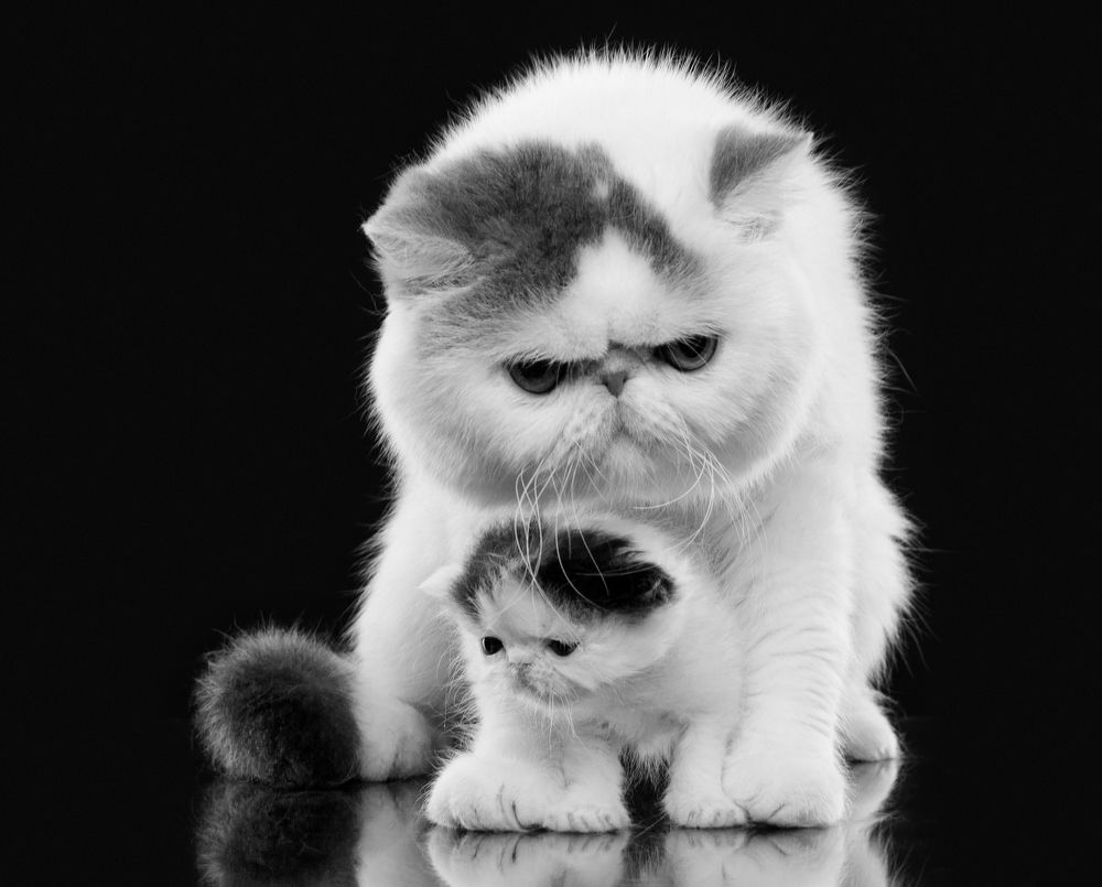 Photograph by Дёгтев Евгений