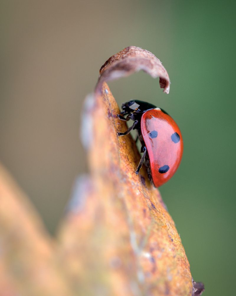 Photograph by Михаил