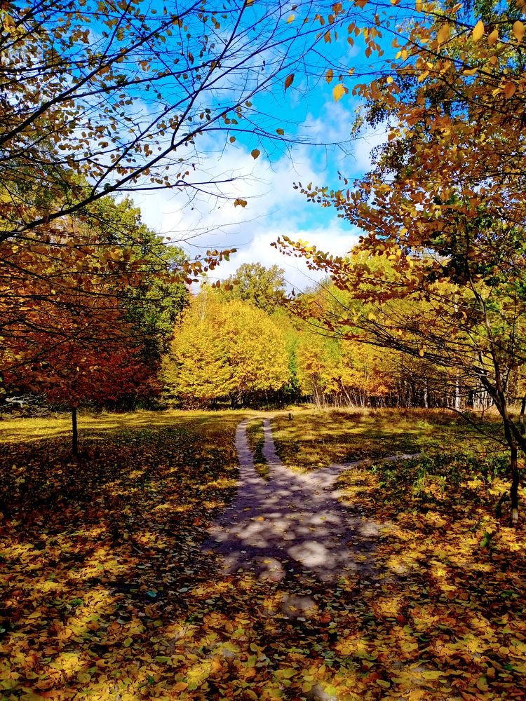 Photograph by Евгений Каримов