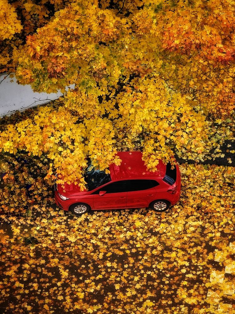 Photograph by Елена Ямнюк