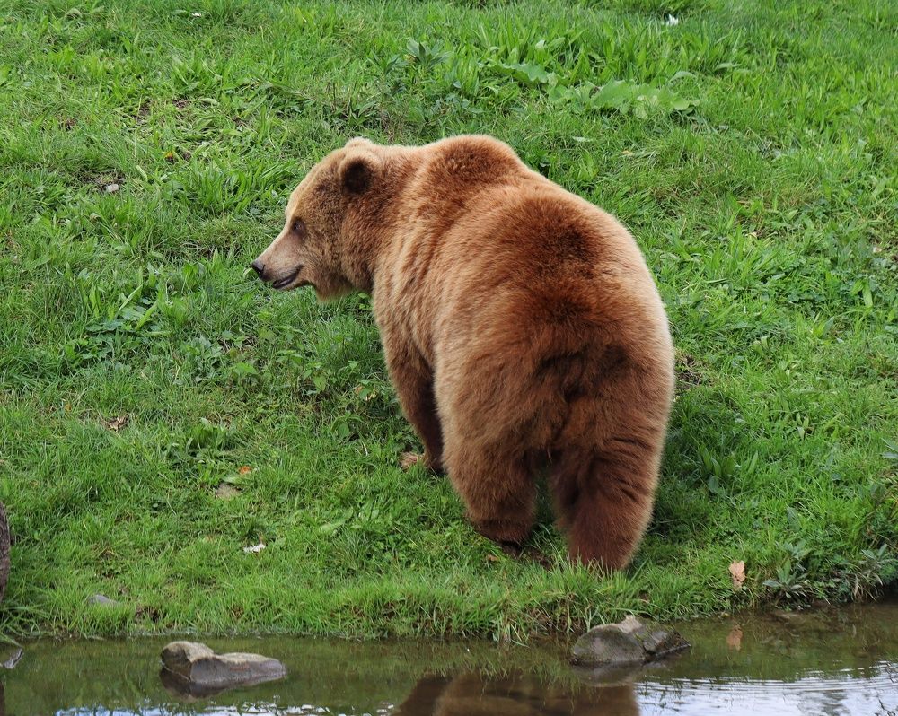 Photograph by Мамикон Мовсесян