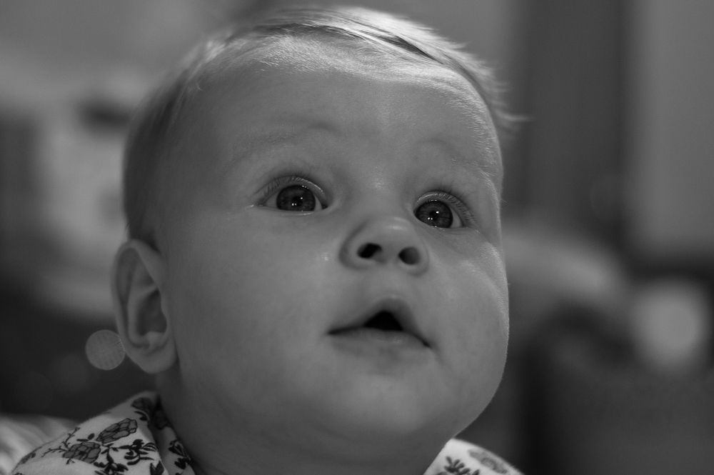 Фотография автора Елена Ефименко