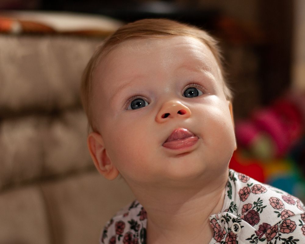 Фотография автора Елена Ефименко