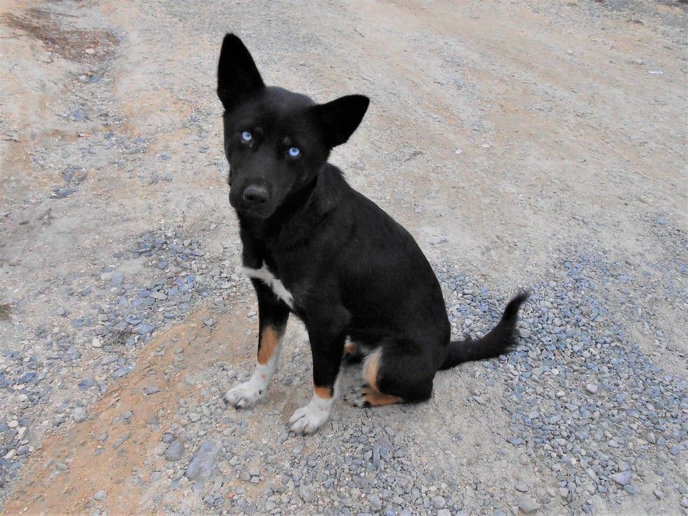 Photograph by Галина Глазкова