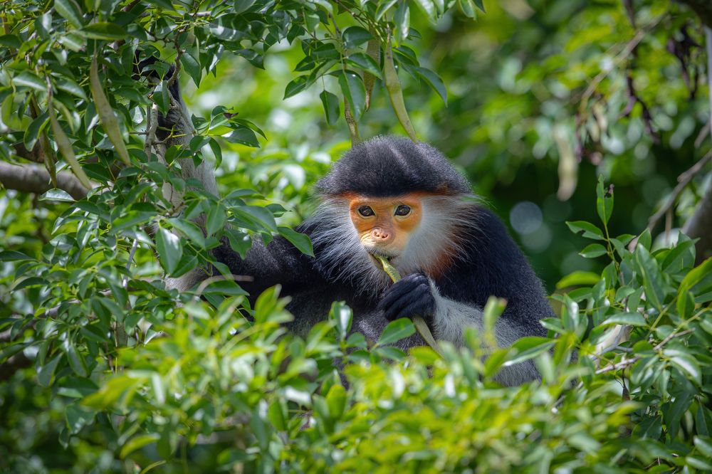 Photograph by Rin Võ