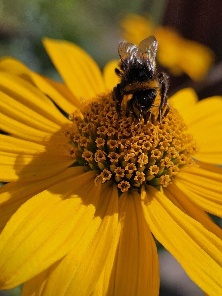 Photograph by Елена Ямнюк