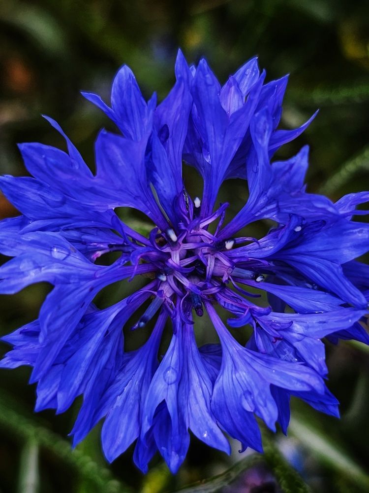 Photograph by Елена Ямнюк